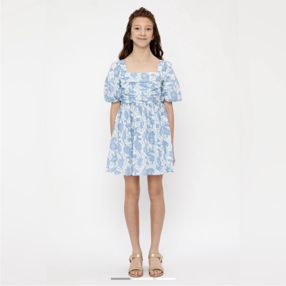 Bardot Other - Bardot Blue and White Ruffled Sundress
